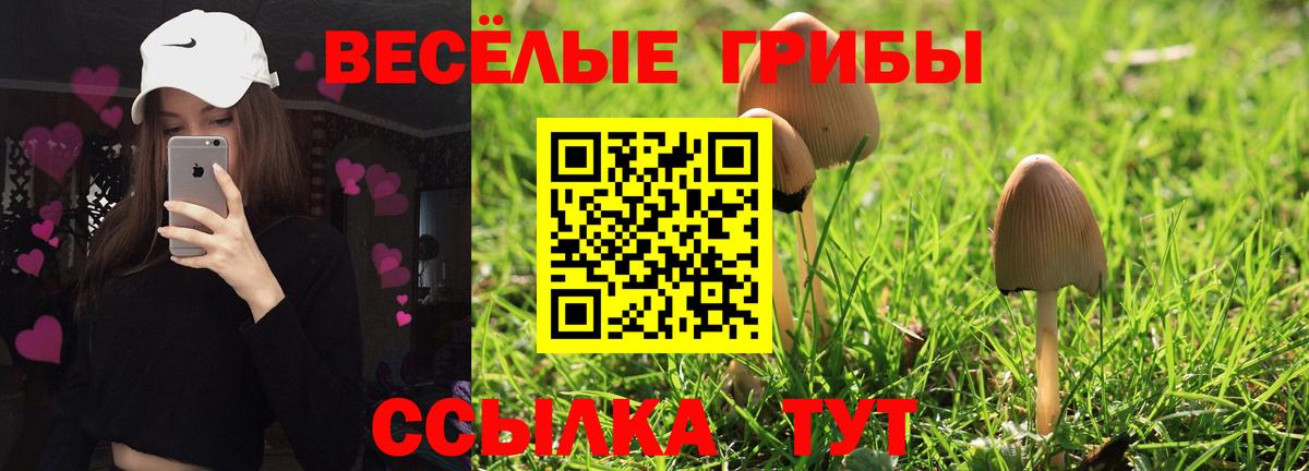 Озёры  Галлюциногенные грибы Psilocybine cubensis  Вход с VPN 